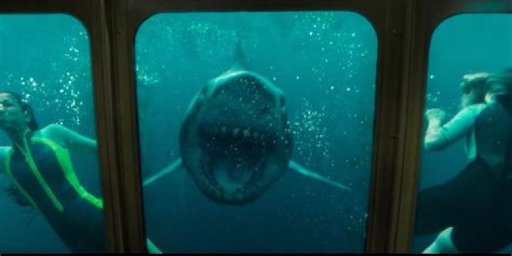 Does Sasha Die In 47 Meters Down? An In-Depth Look