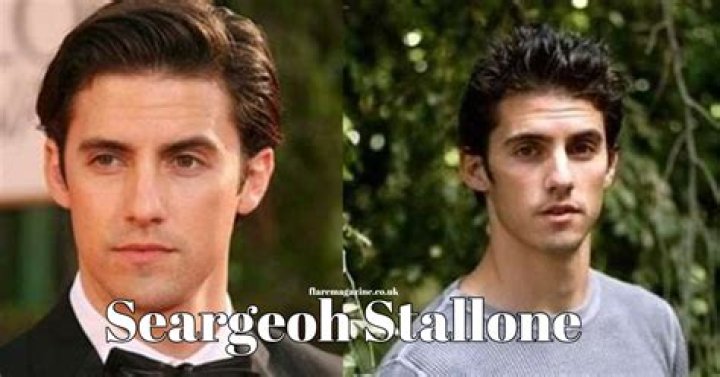 The Ultimate Guide To Seargeoh Stallone: An In-Depth Look At The Hollywood Legend