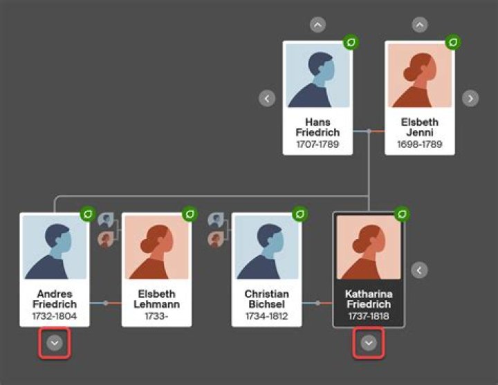 Unraveling Andrew Tate's Ancestry: A Genealogical Journey