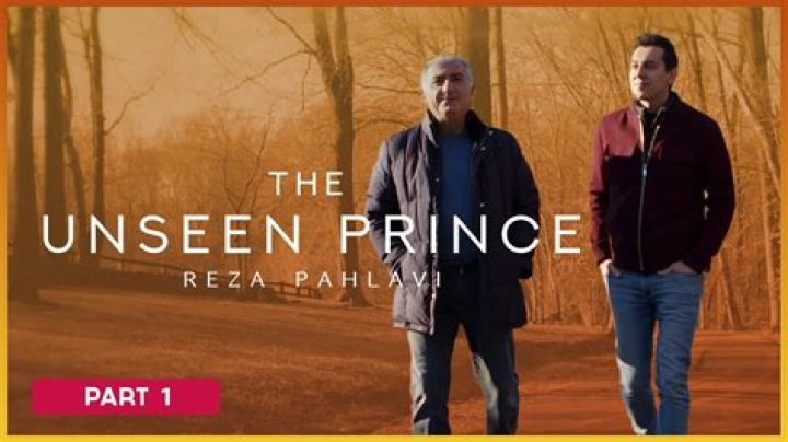 Unveiling The Life Of Priya Amini: A Journey Of Passion And Dedication